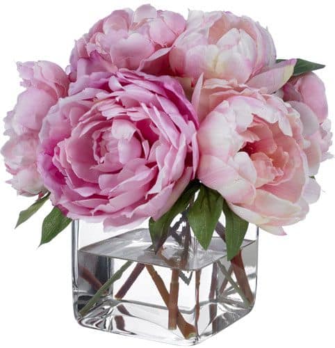 Peonies In Wimberley Tx Wimberley Flower Shop