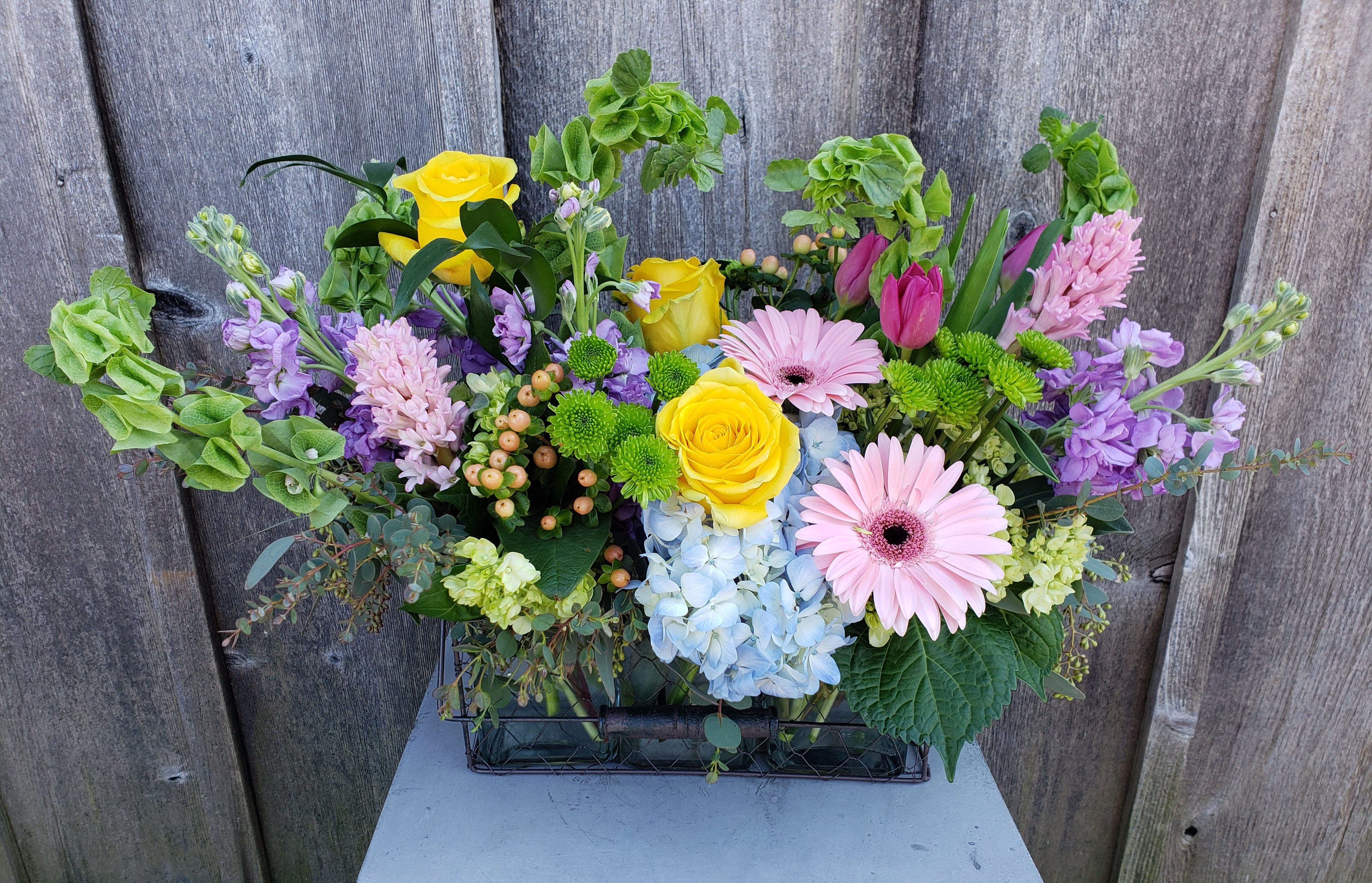 Flowers Near West Chester Pa Best Flower Site