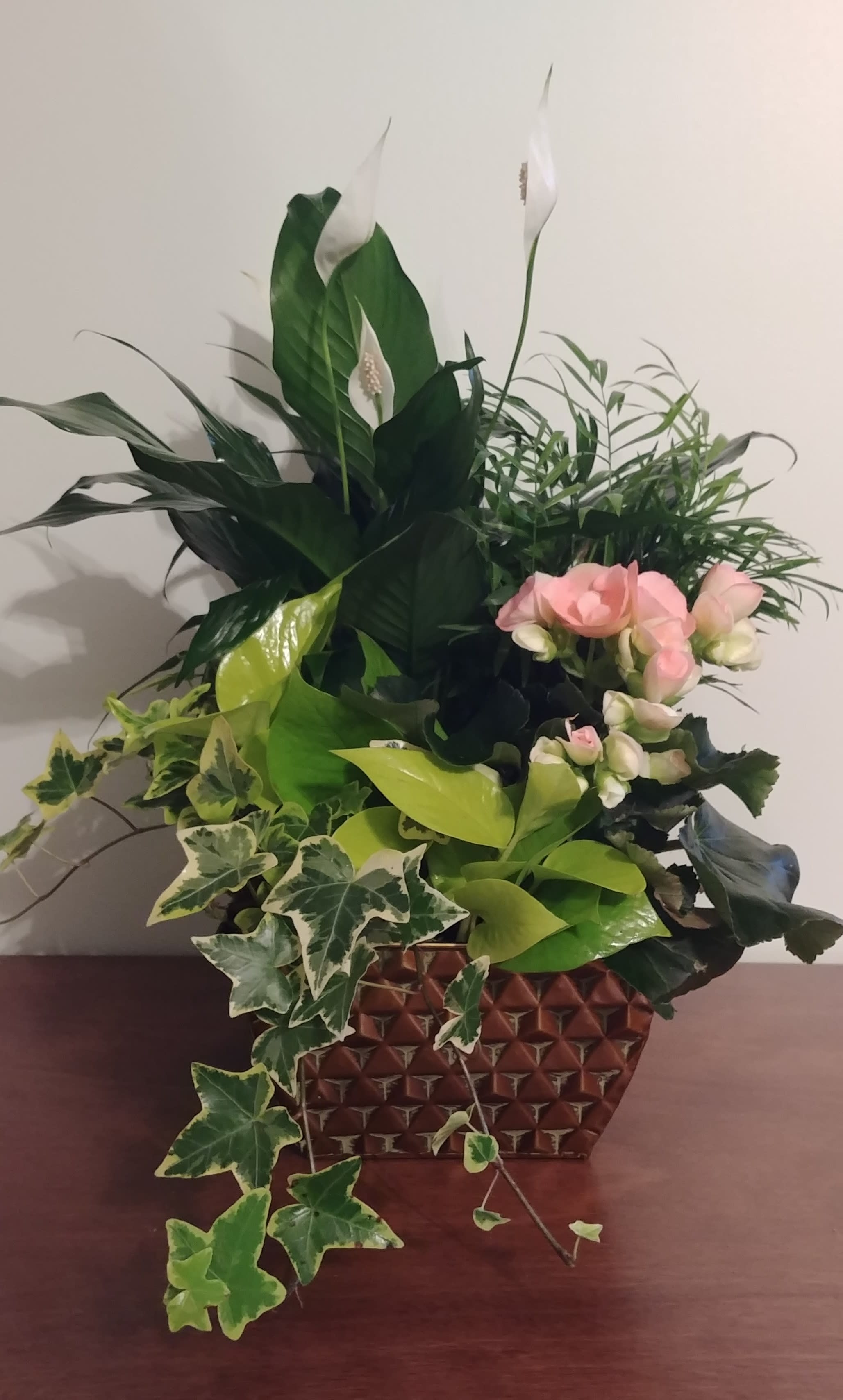 Galvanized Dish Garden in Kansas City, MO Teefey Flowers and Gifts