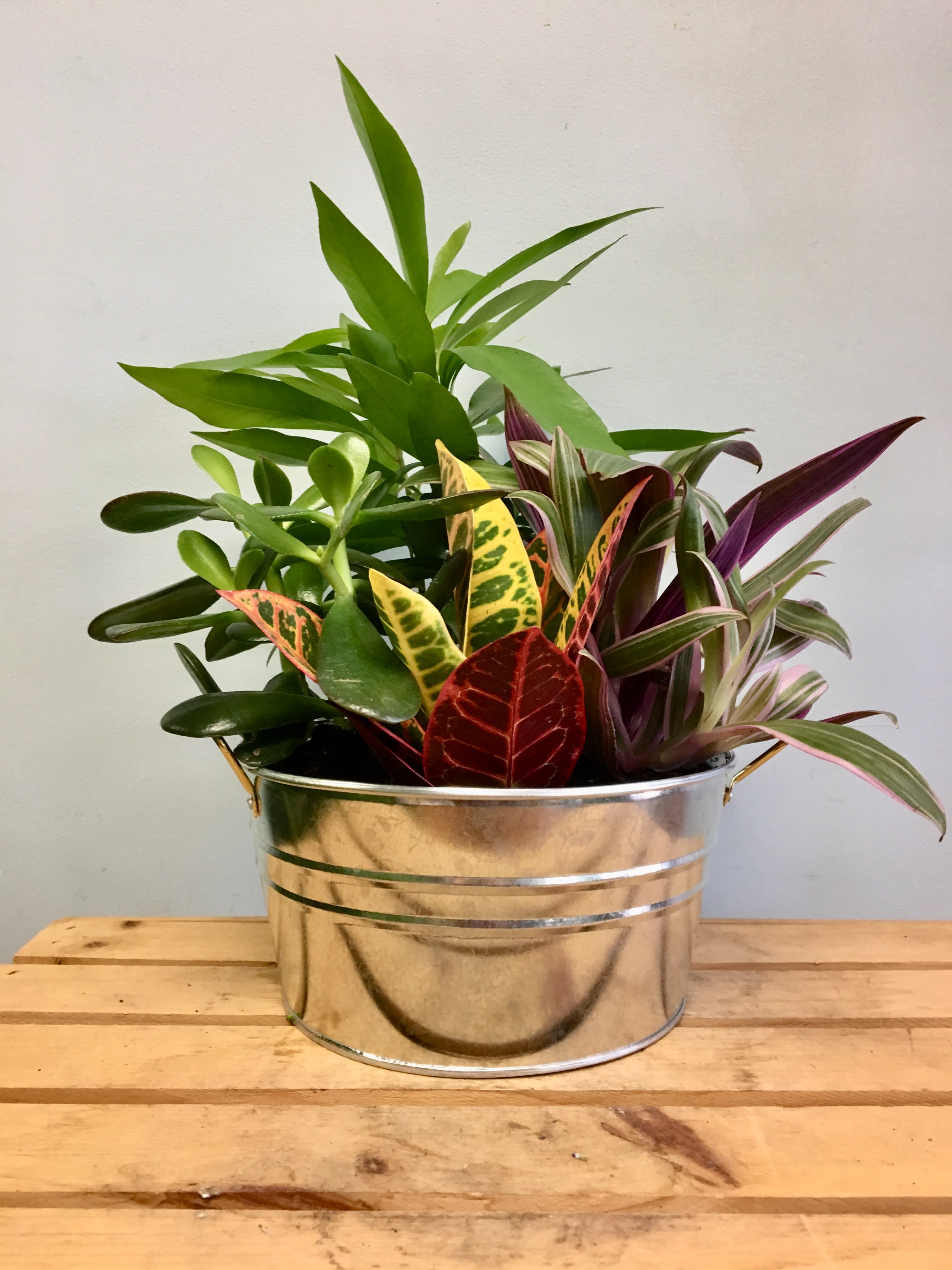 Small Galvanized Dish Garden In Cambridge Ma Coady Florist