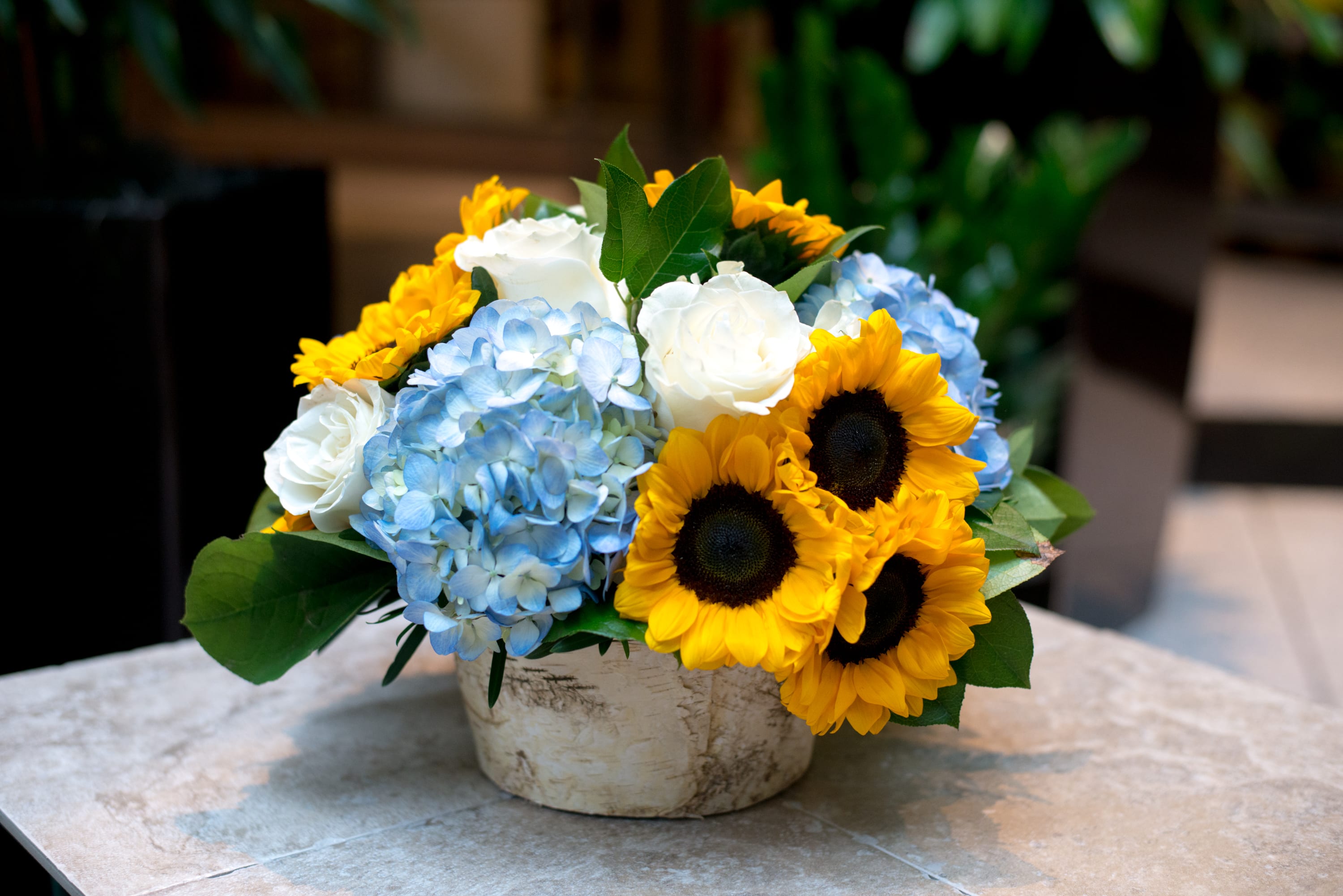Spring Awakening In Boston Ma Louis Barry Florist