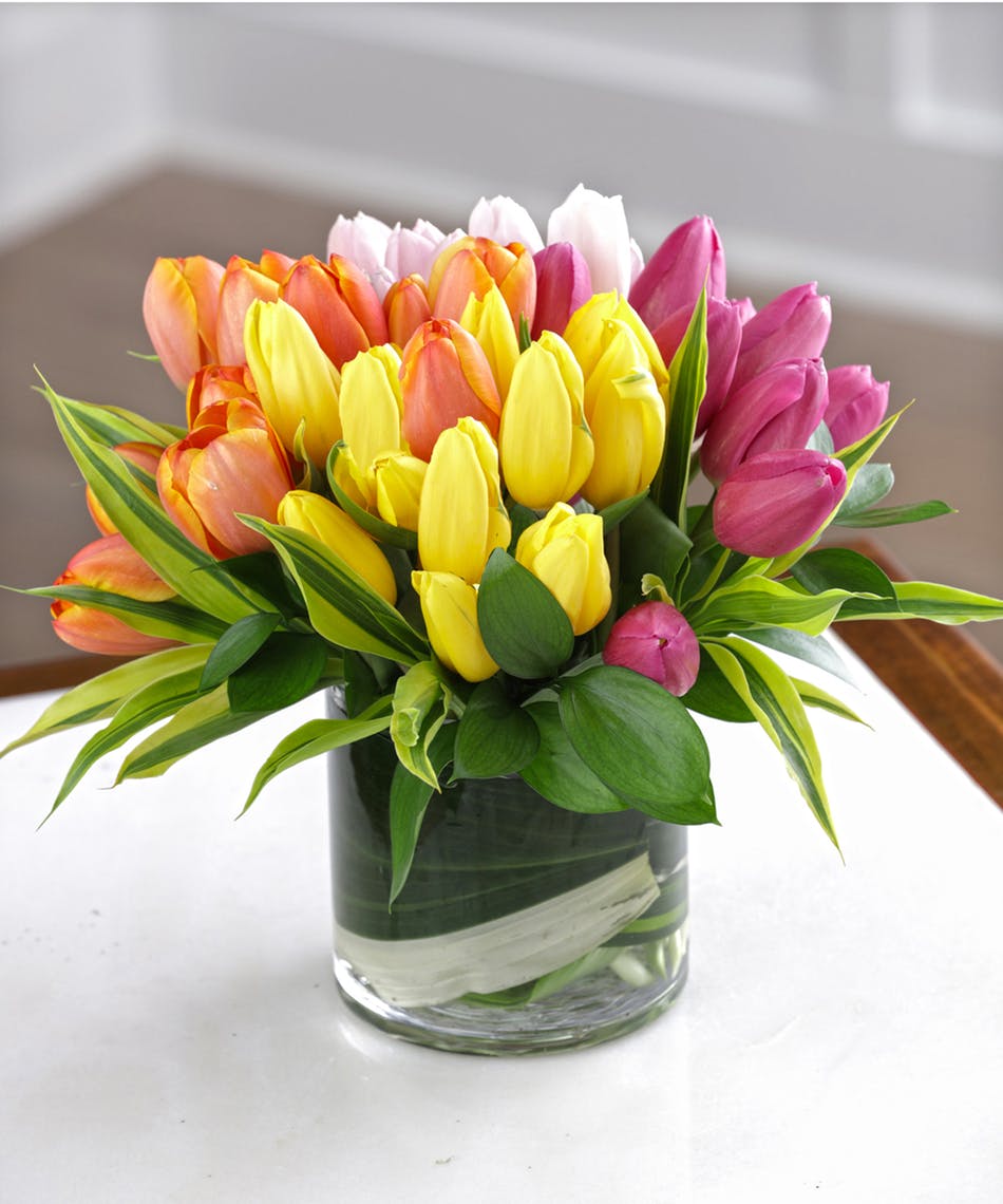 Spring Tulip Arrangement in Watertown, MA Russo's