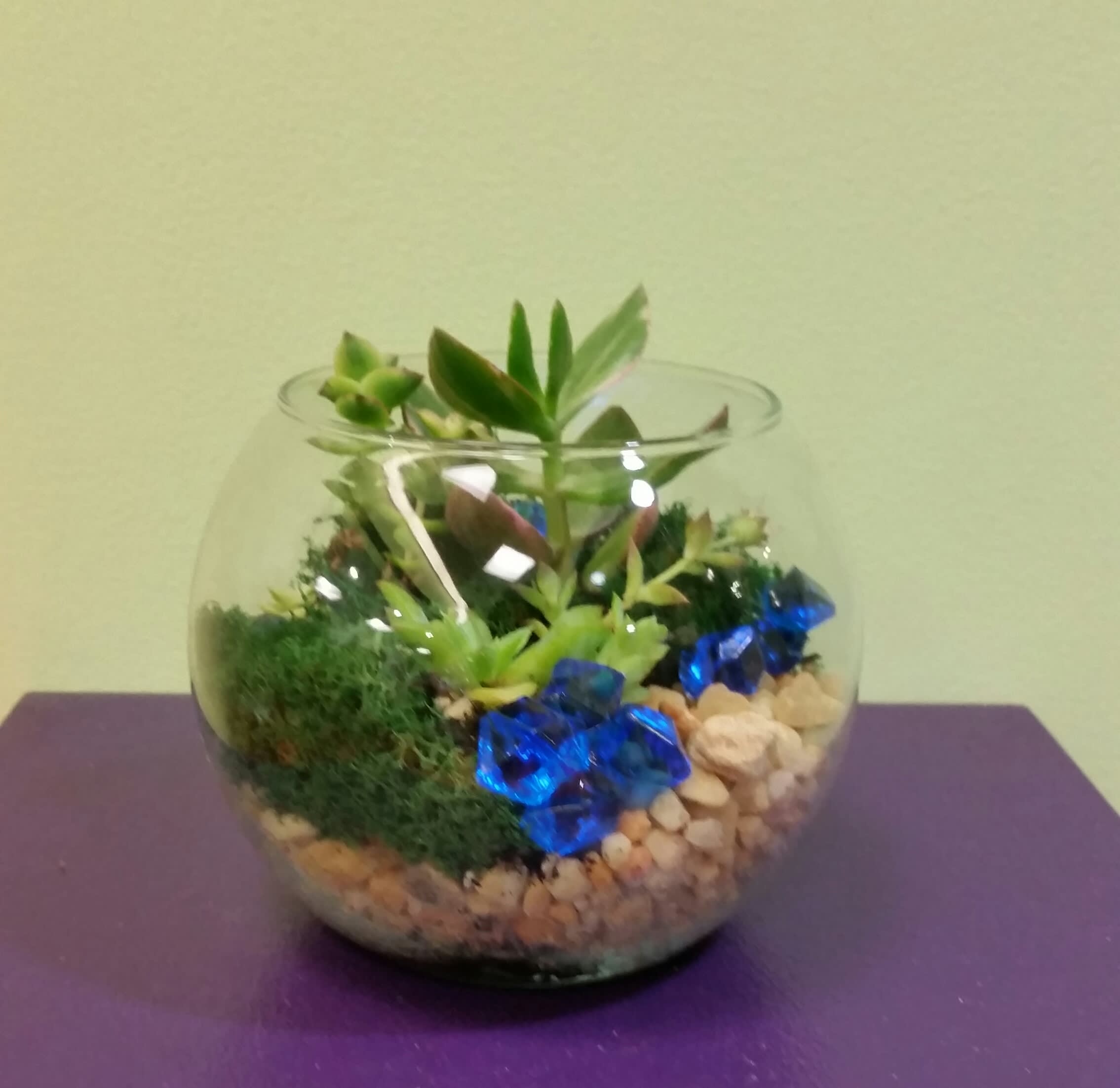 Fishbowl Terrarium In Philadelphia Pa Philadelphia Flower Market