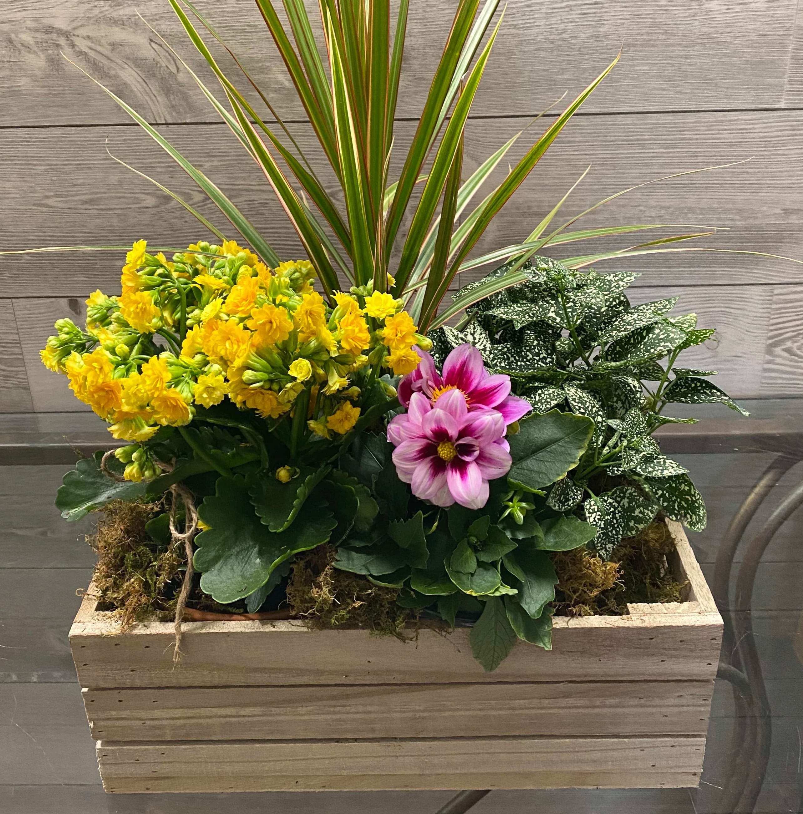 Plants in a Wooden Crate in Melville, NY Black Dahlia