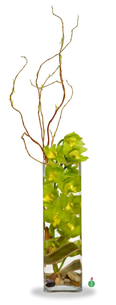 Underwater Orchids In Citra Fl Buds Blossoms Florist