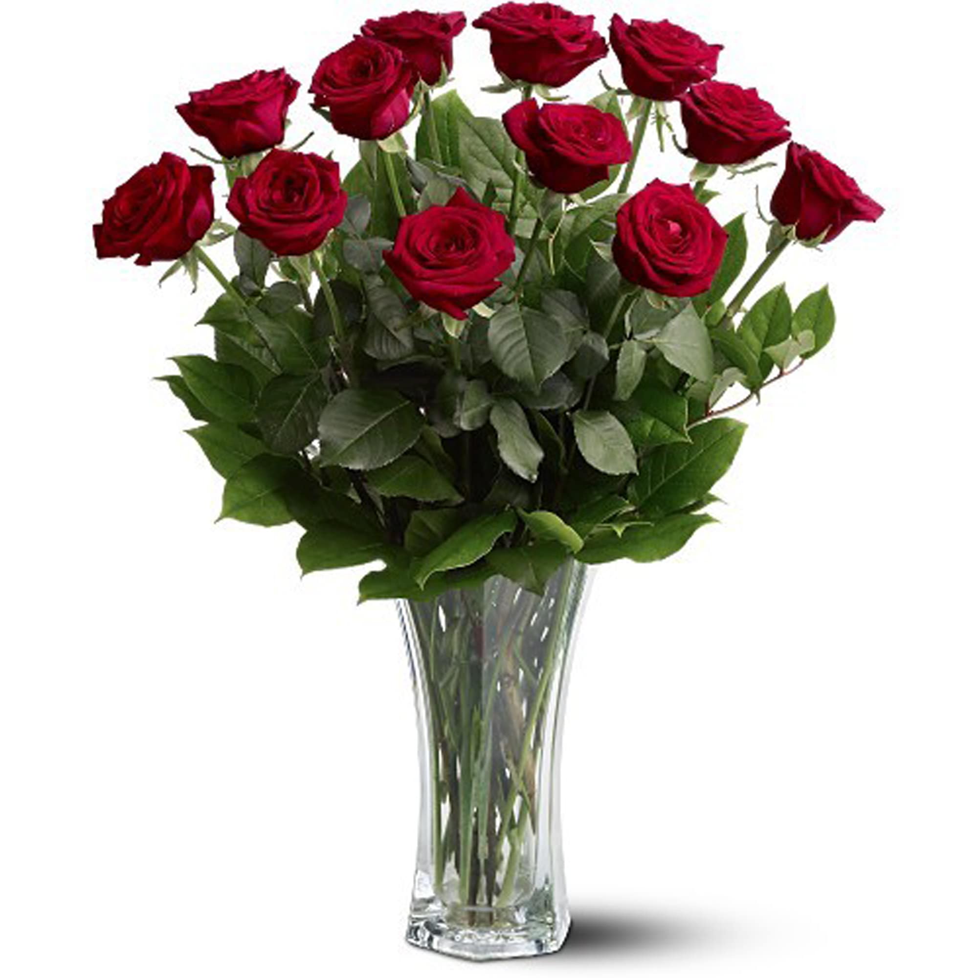 A Dozen Premium Red Roses In New City Ny Bassett Flowers 3532