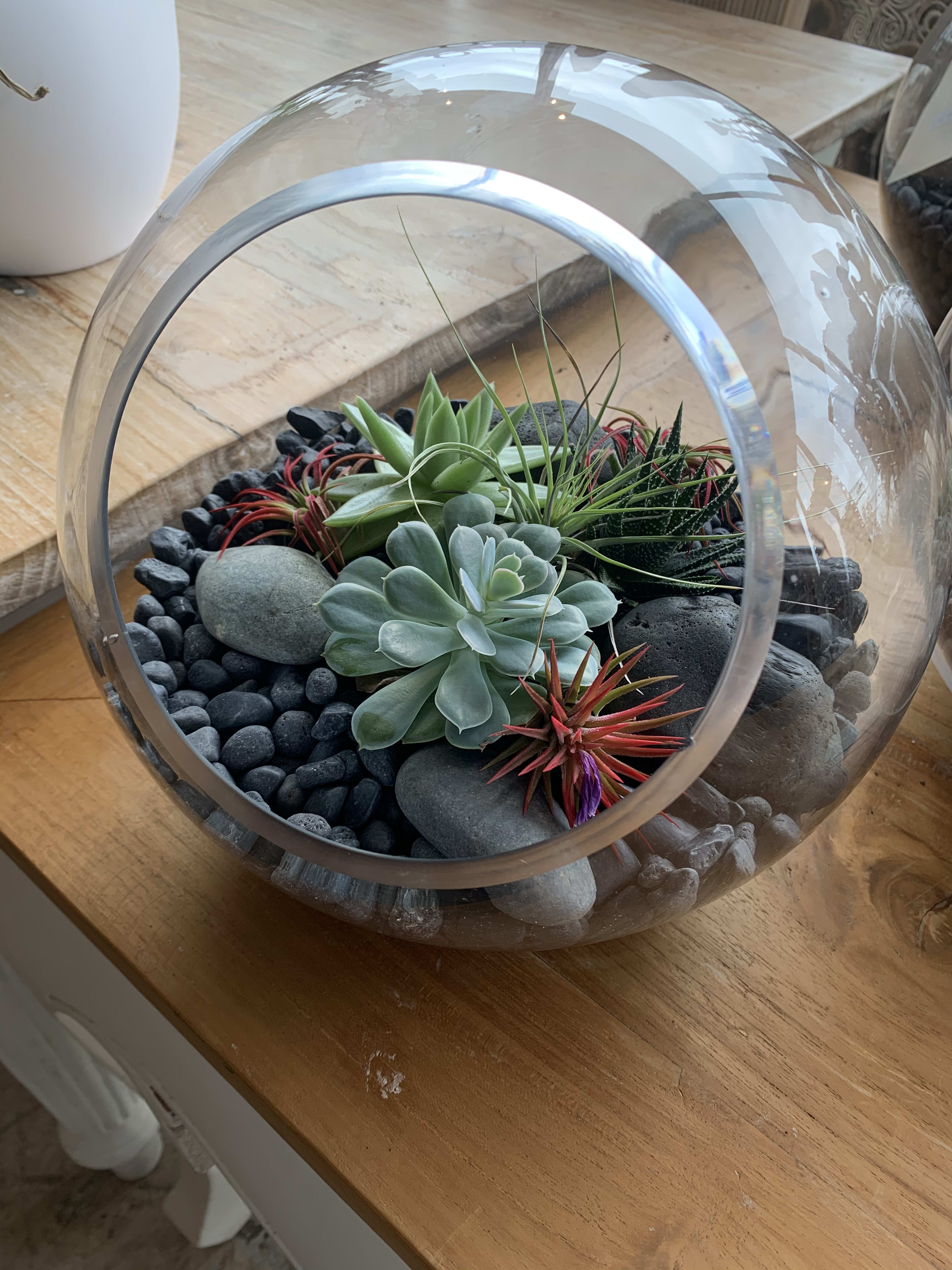 Black Rock Terrarium in Miami, FL Avant Gardens