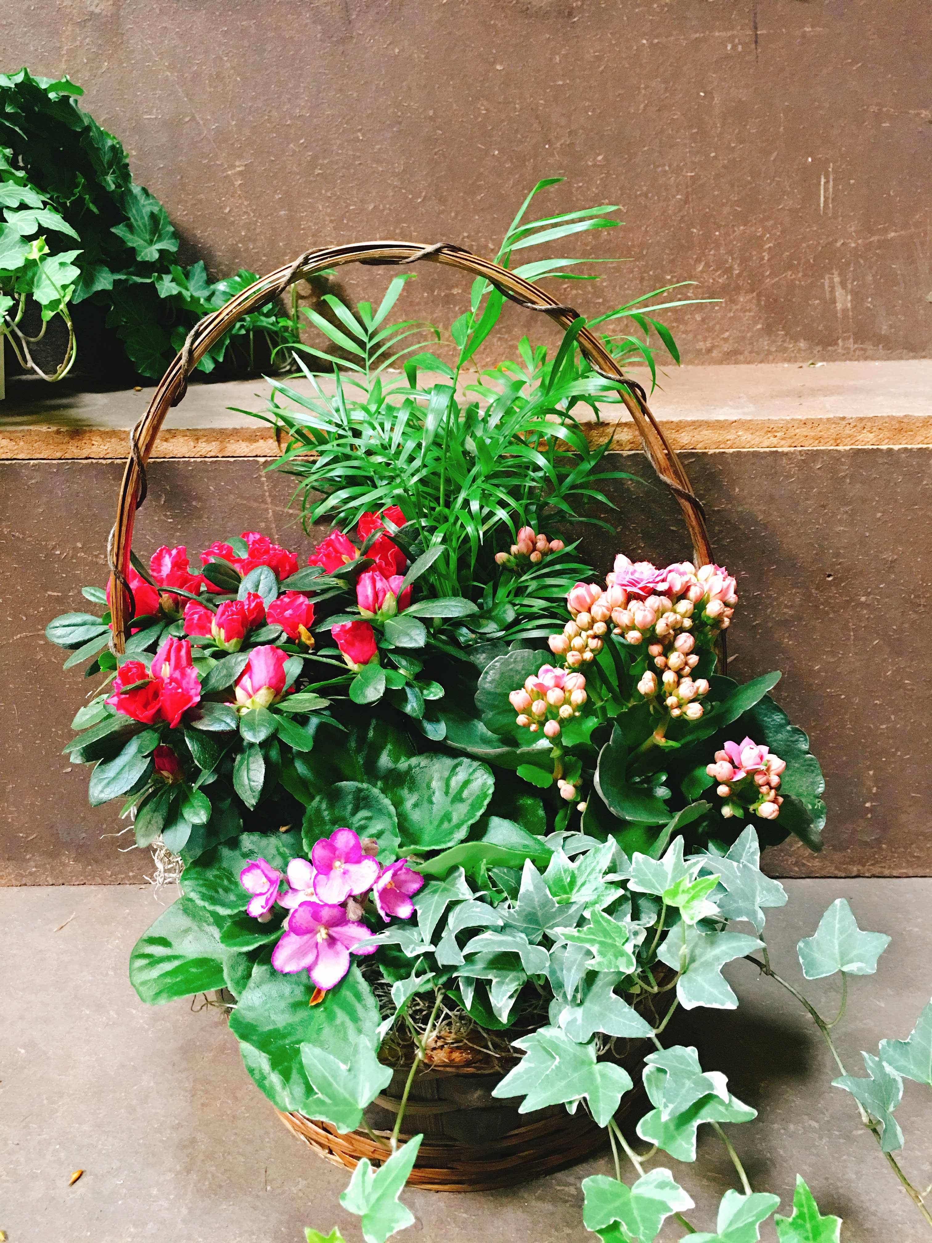 Large Dish Garden Basket In San Jose Ca La Floriya