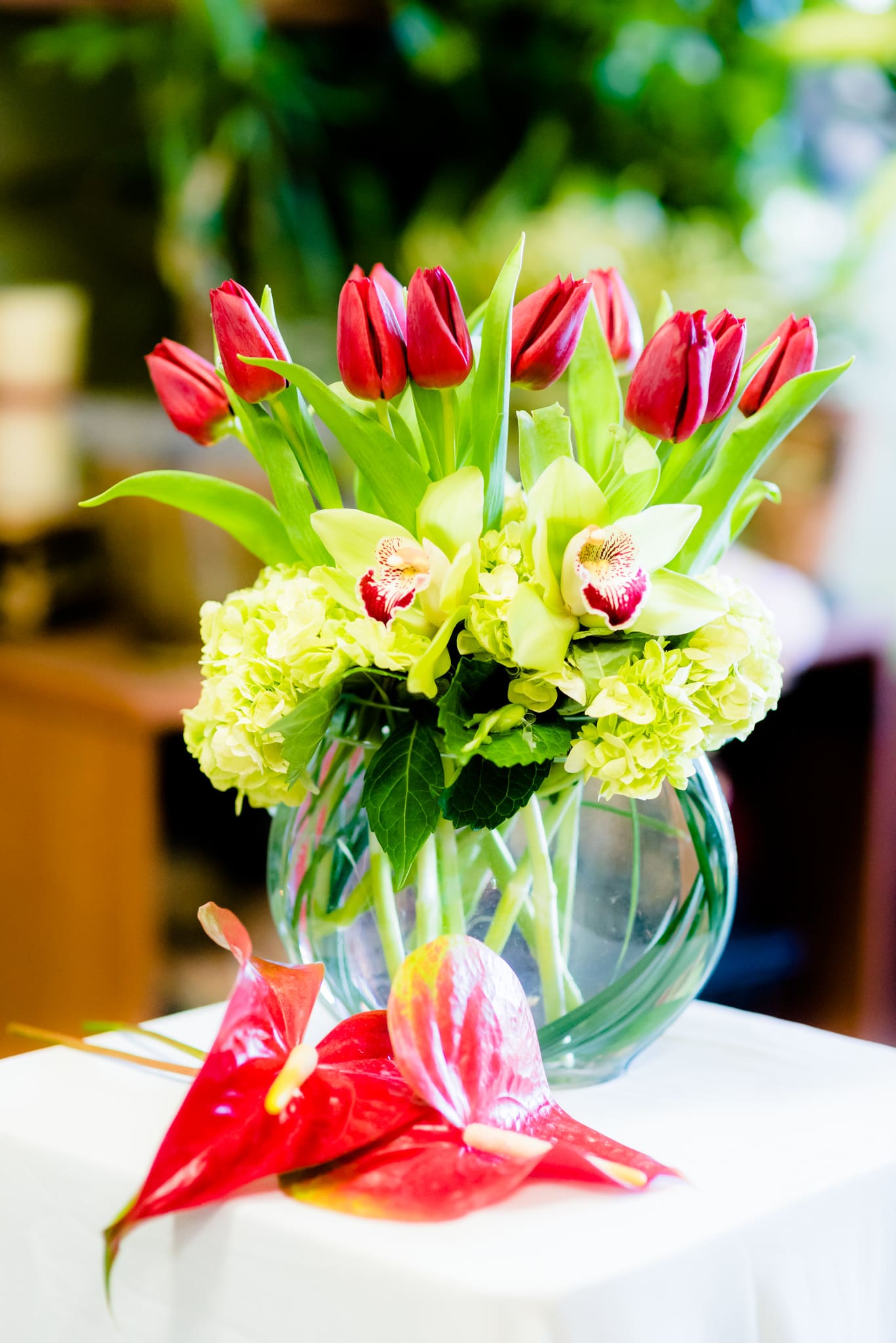 Marina Red Red Tulips and Orchids in Torrance, CA Andes Florist