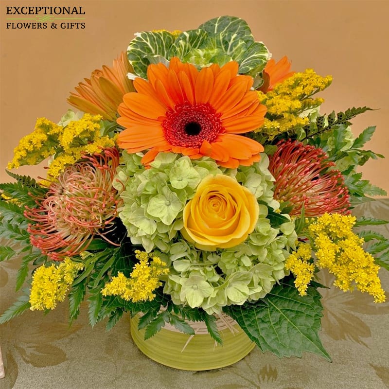 Colorful Autumn in Boca Raton, FL | Exceptional Flowers ...