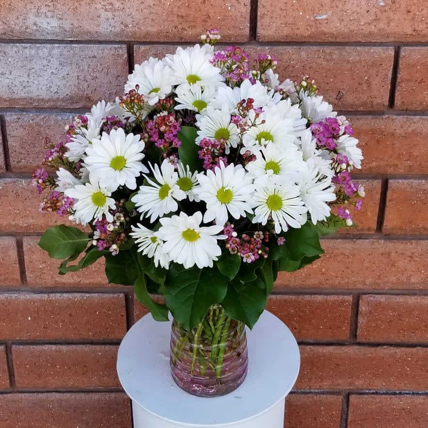 White Daisy and Pink Wax Flower Vase in San Diego, CA ...