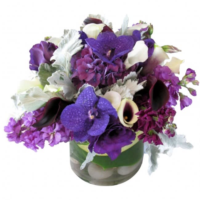 Warhols Purple Flowers in San Diego, CA | House of Stemms
