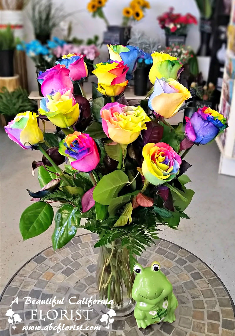 AMAZING Rainbow Roses One Dozen multi colored, real rainbow roses arranged in vase in Long