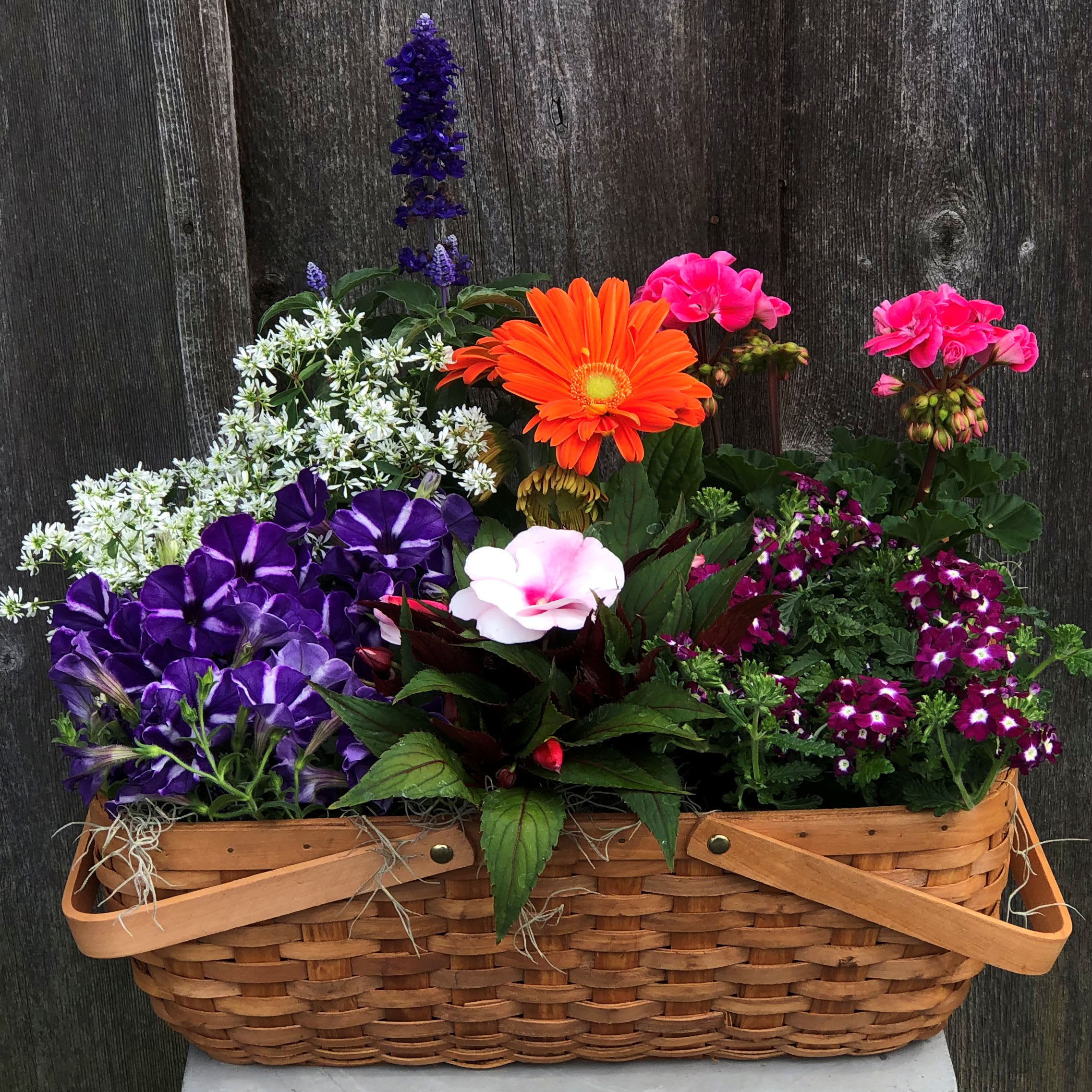 Same Day Flower Delivery West Chester Pa Best Flower Site