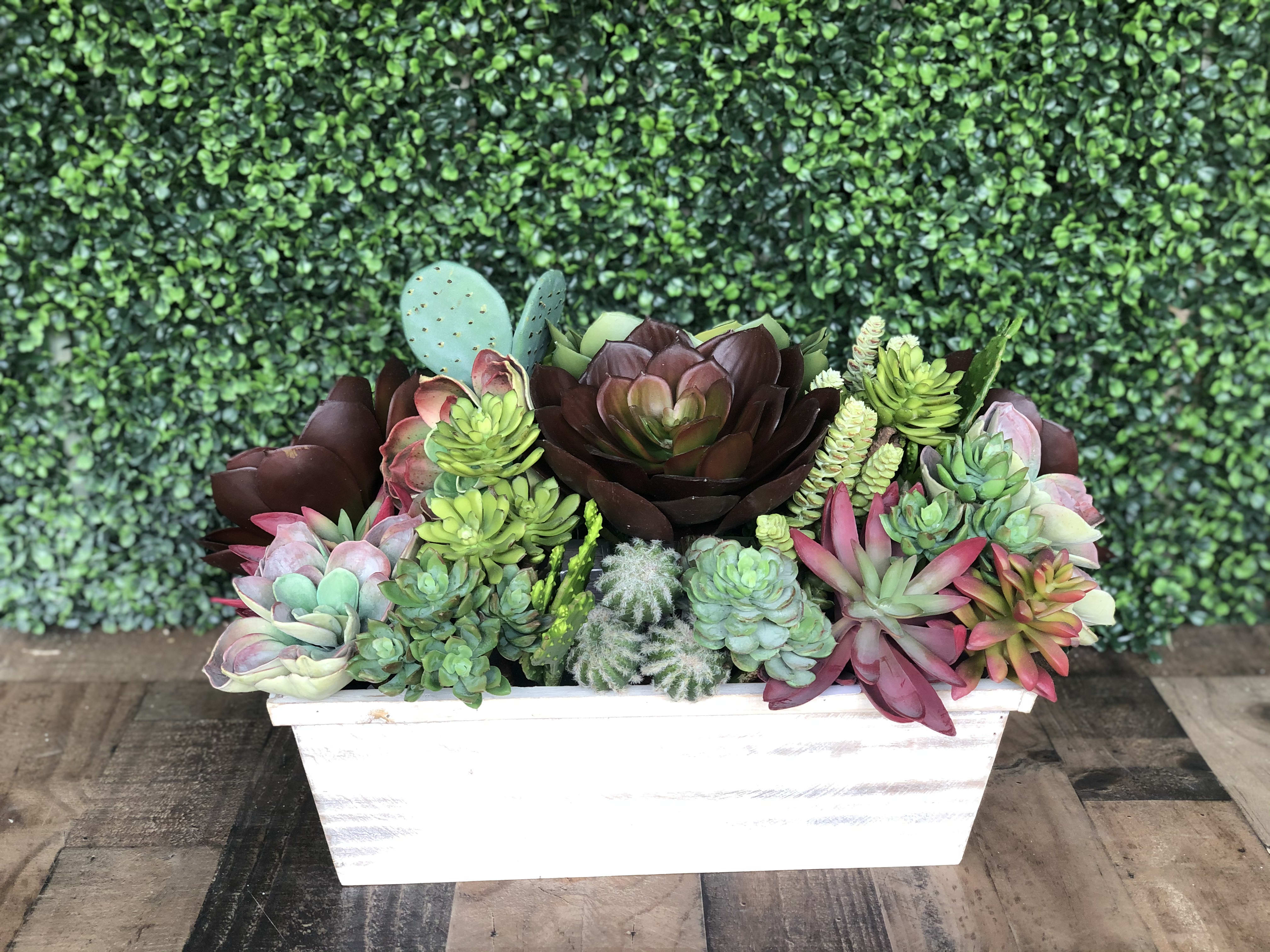 ARTIFICIAL SUCCULENT GARDEN in Miami, FL Hirni's Wayside Garden Florist