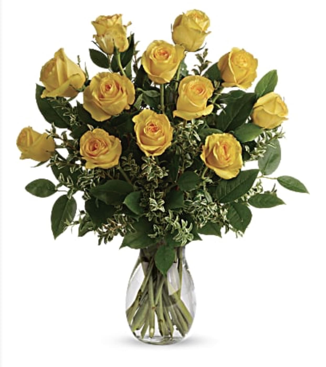 1 Dozen Yellow Roses In Florence Al Deans Florist