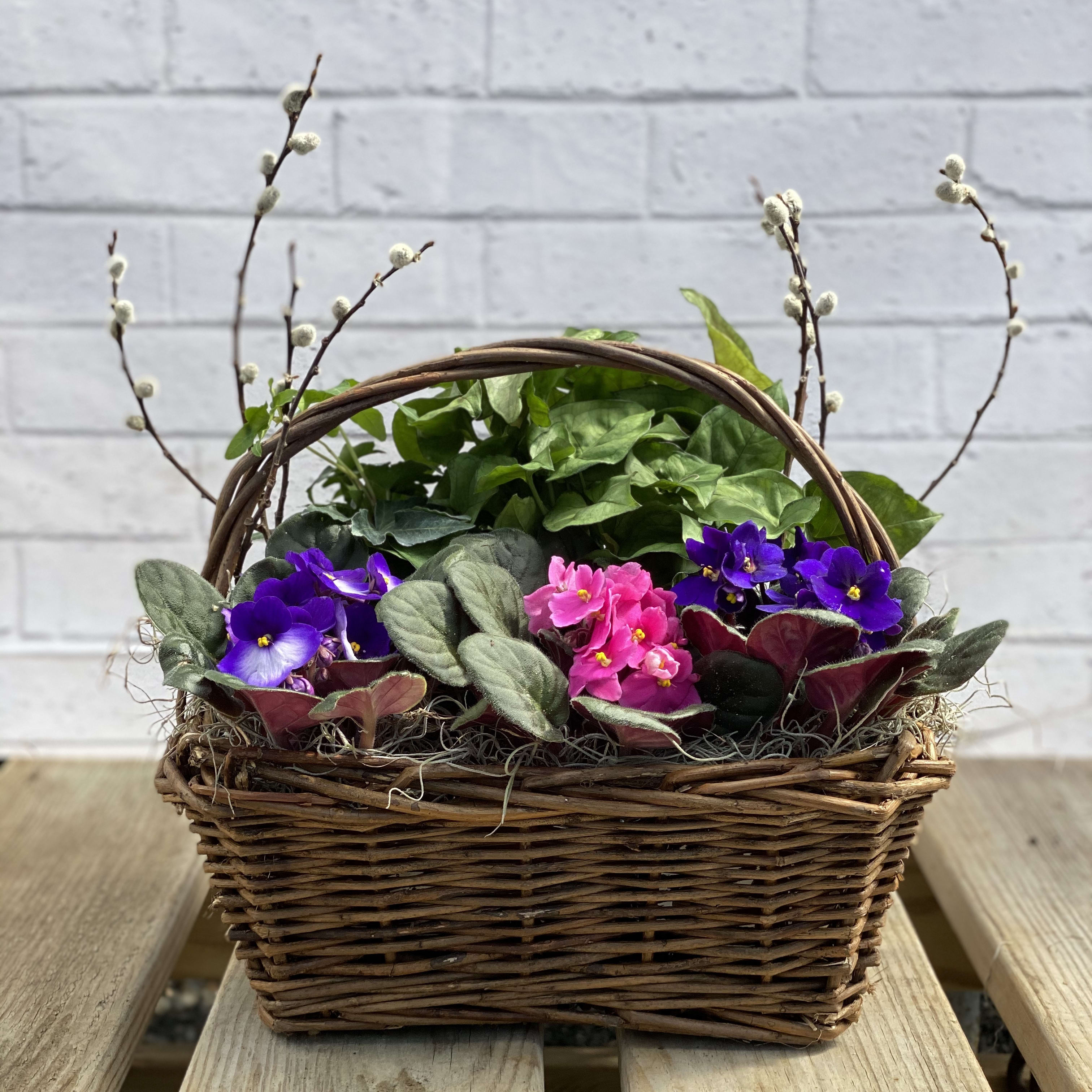 Evans' Violet Basket in Peabody, MA Evans Flowers