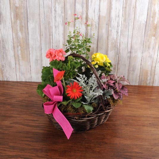 Blooming Annual Garden Basket in Downingtown, PA Blue Moon Florist