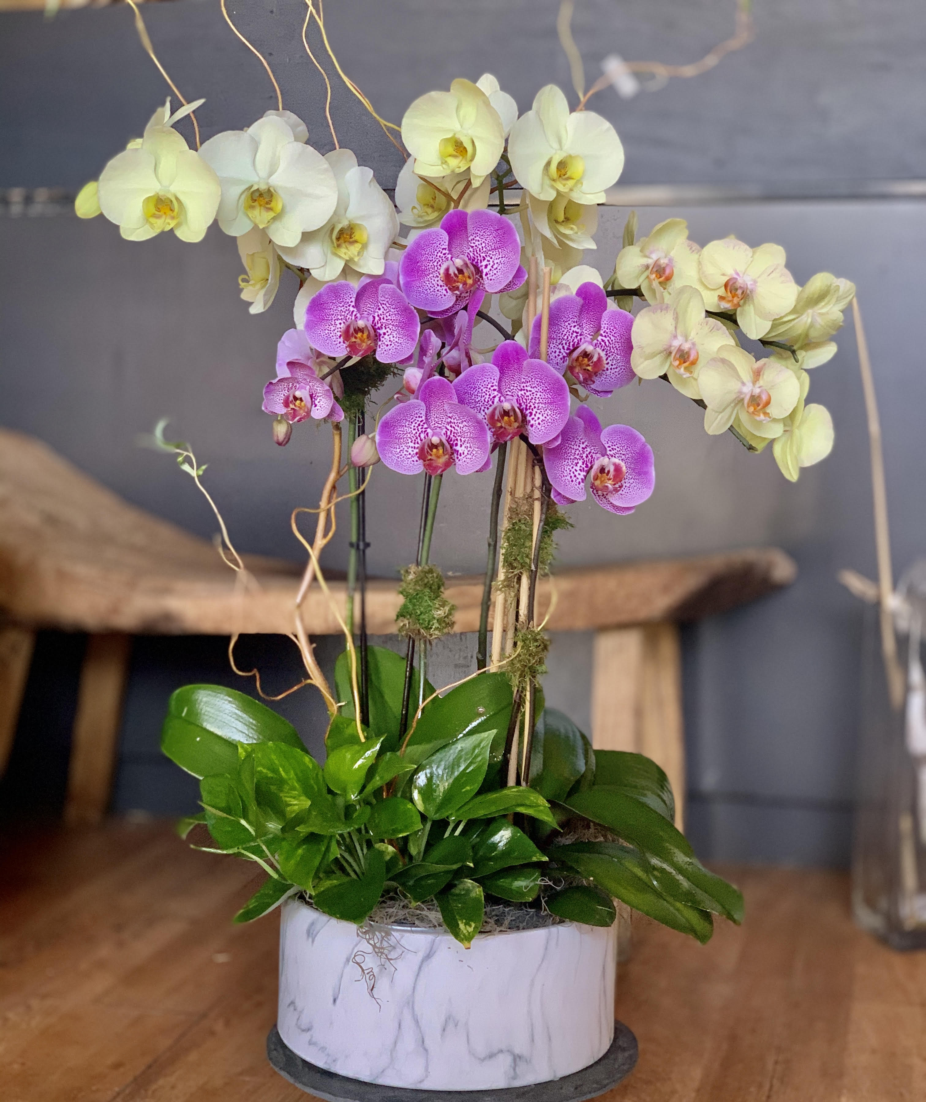 Elegant Modern Orchids Arrangement In San Jose Ca Flowers By Ivy 