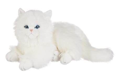 persian cat plush