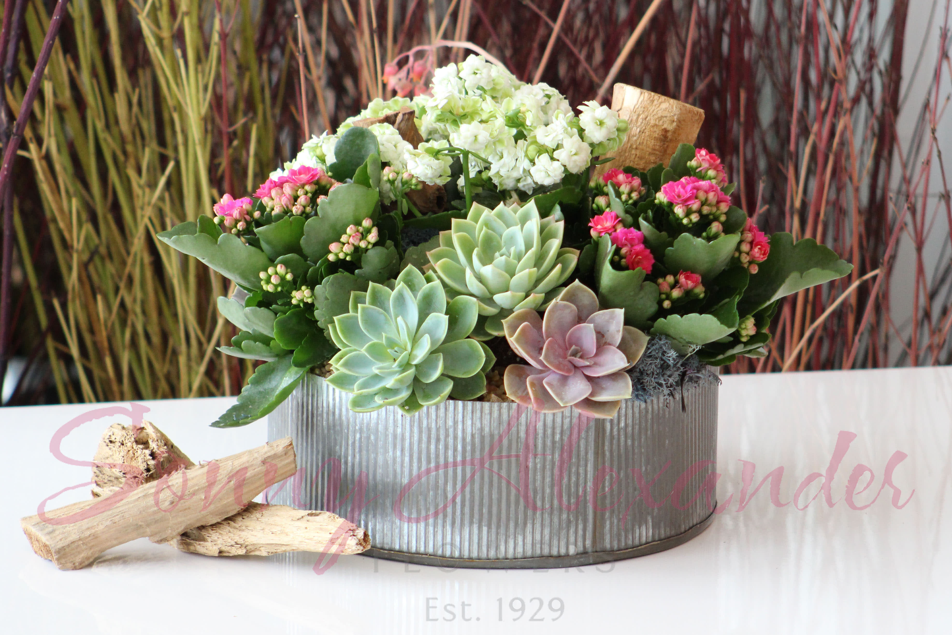 Desert Oasis by Sonny Alexander Flowers