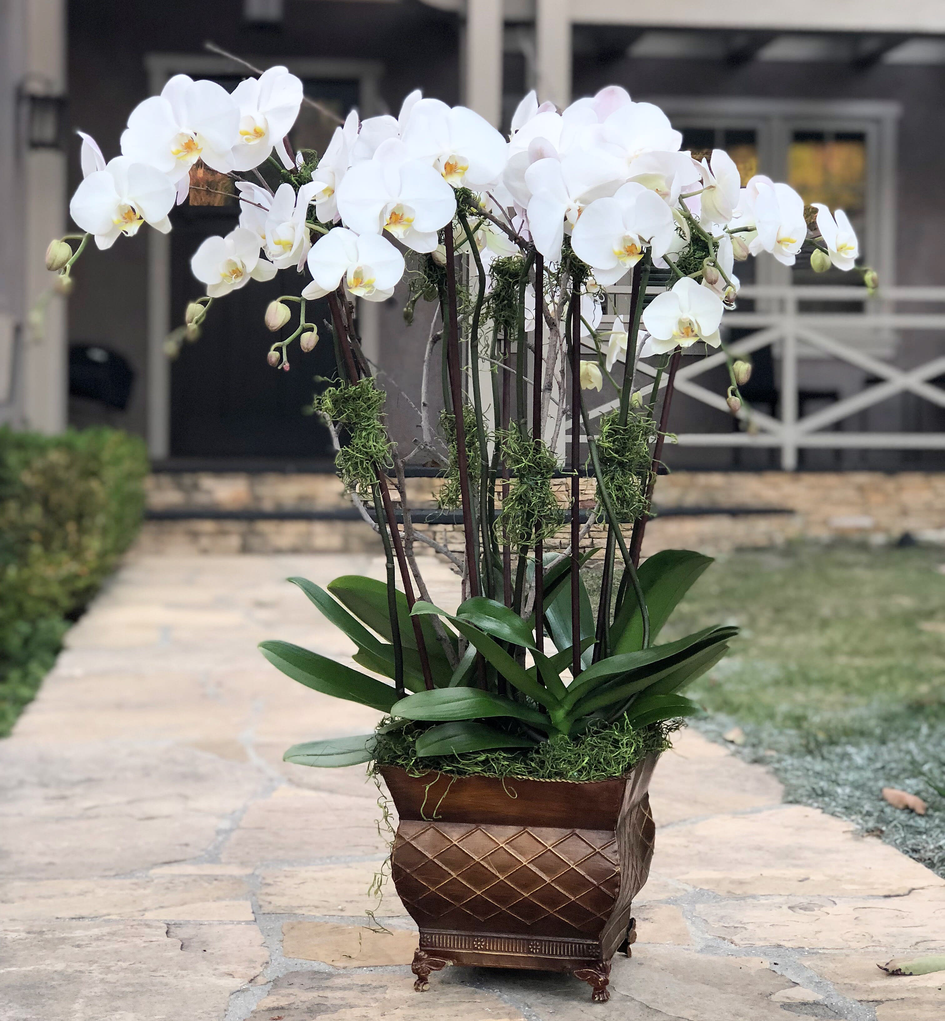 Fantasy Grandeur By Westwood Flower Shop