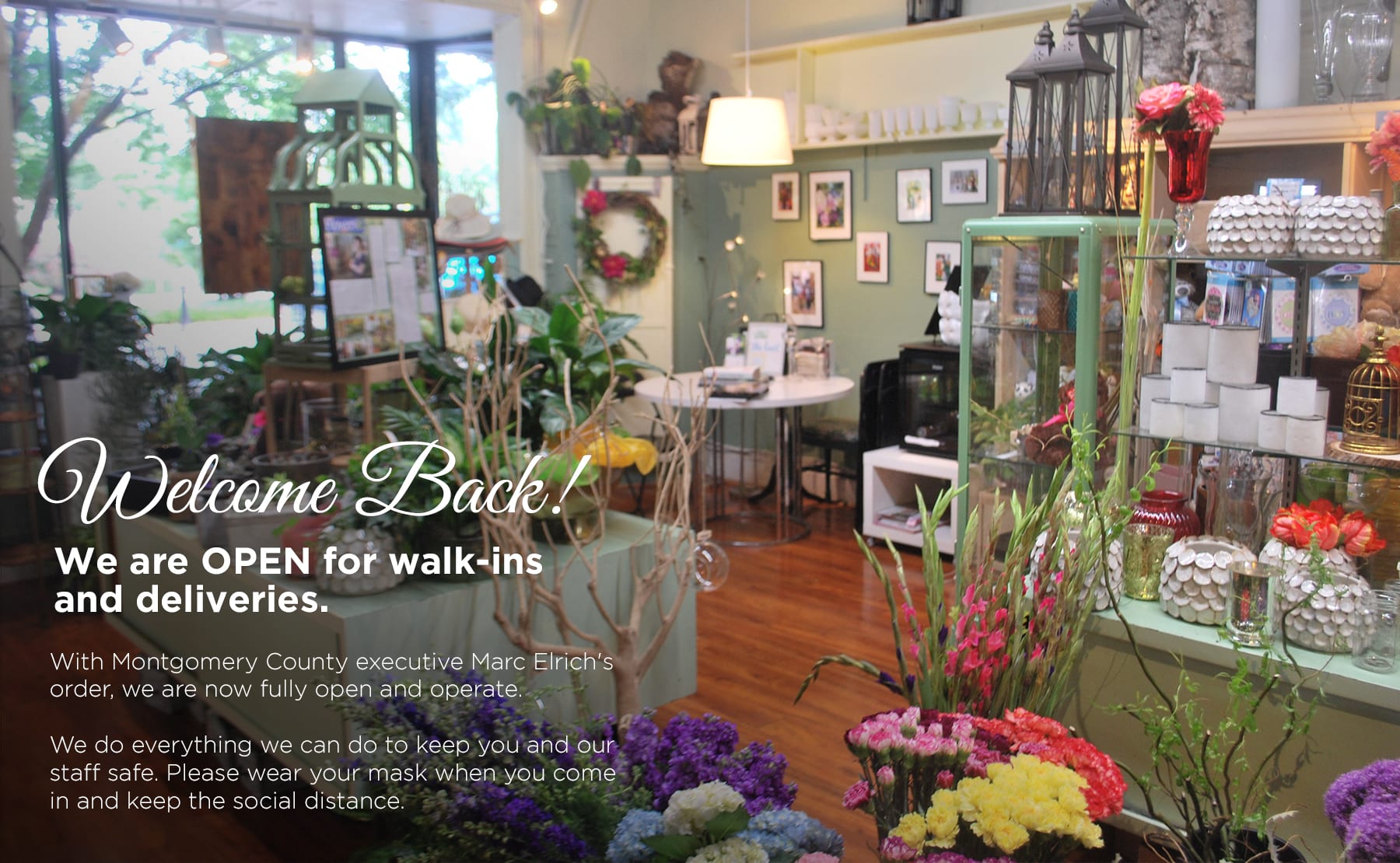 Takoma Park Florist Flower Delivery by Park Florist