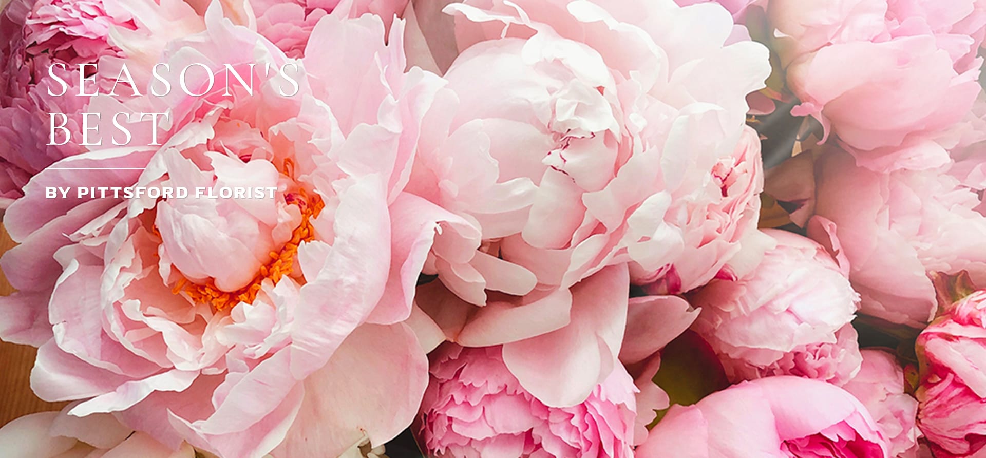 Pittsford Florist Flower Delivery by Pittsford Florist