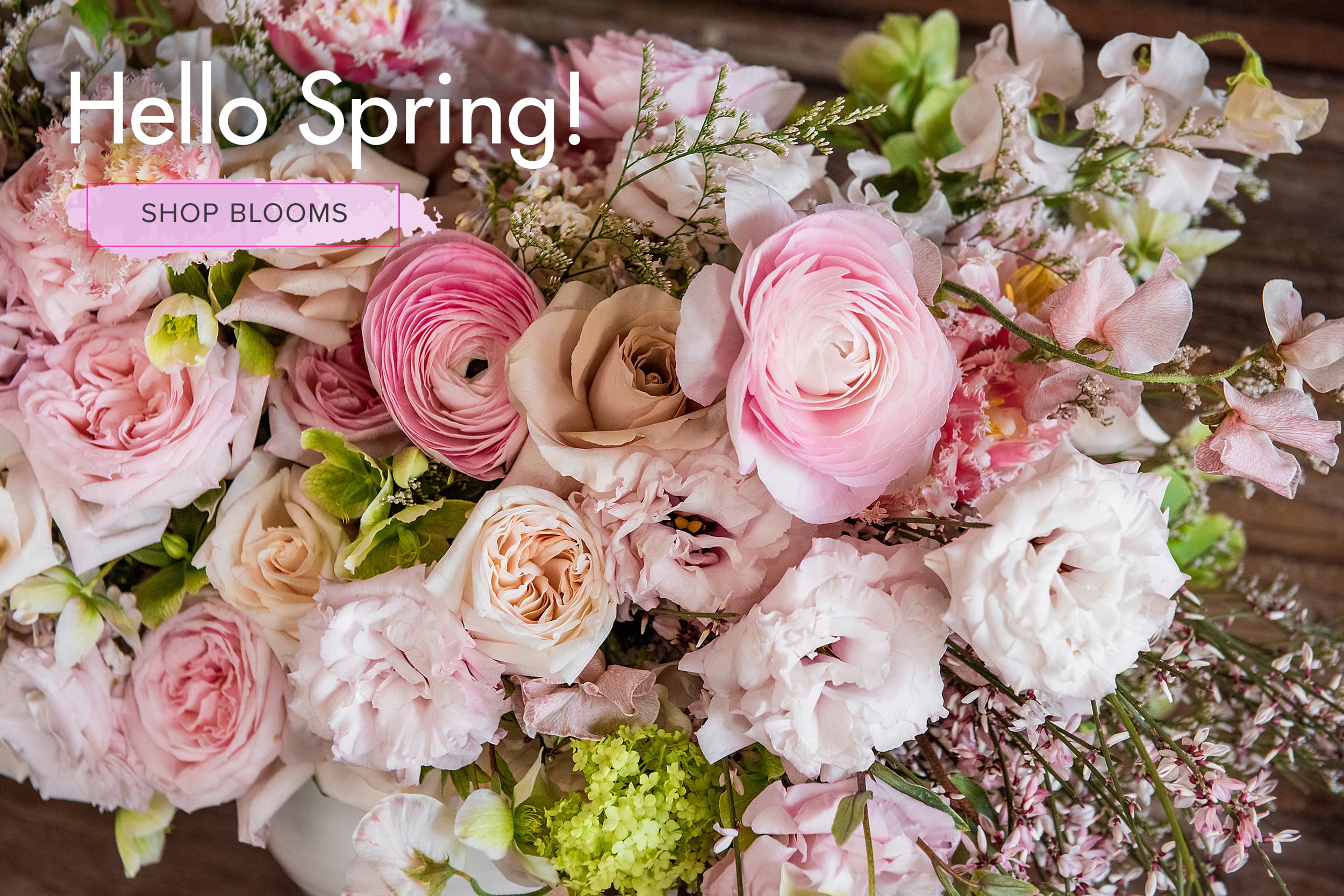 West Hollywood Florist Flower Delivery by Seed Floral