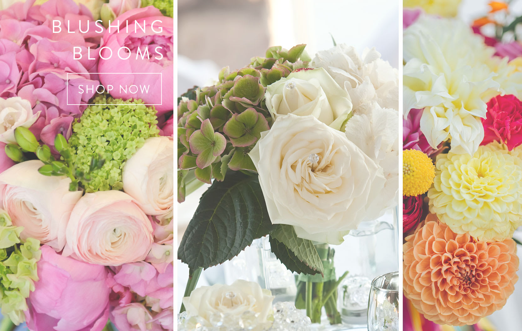 Los Angeles Florist Flower Delivery by Petal Forest