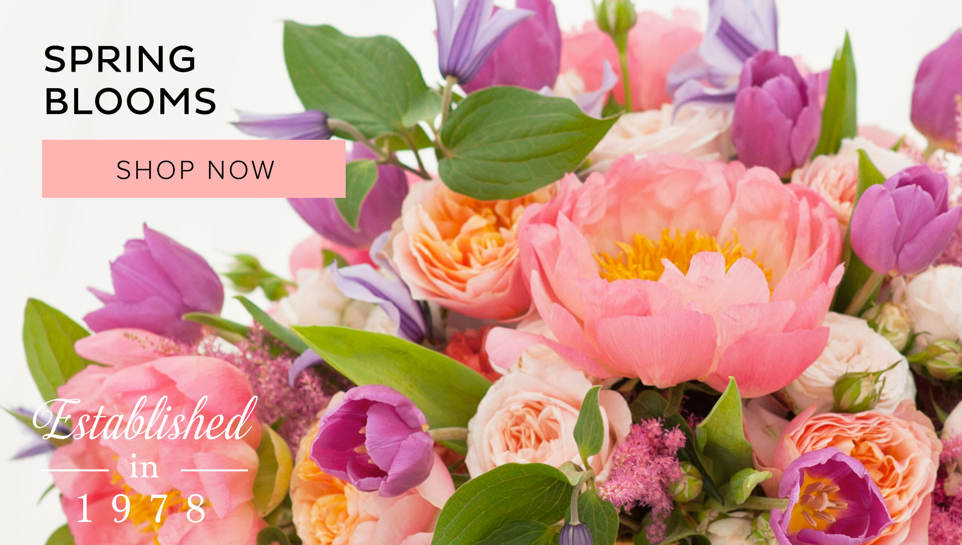 Camas Florist Flower Delivery by Coventry Gardens of London