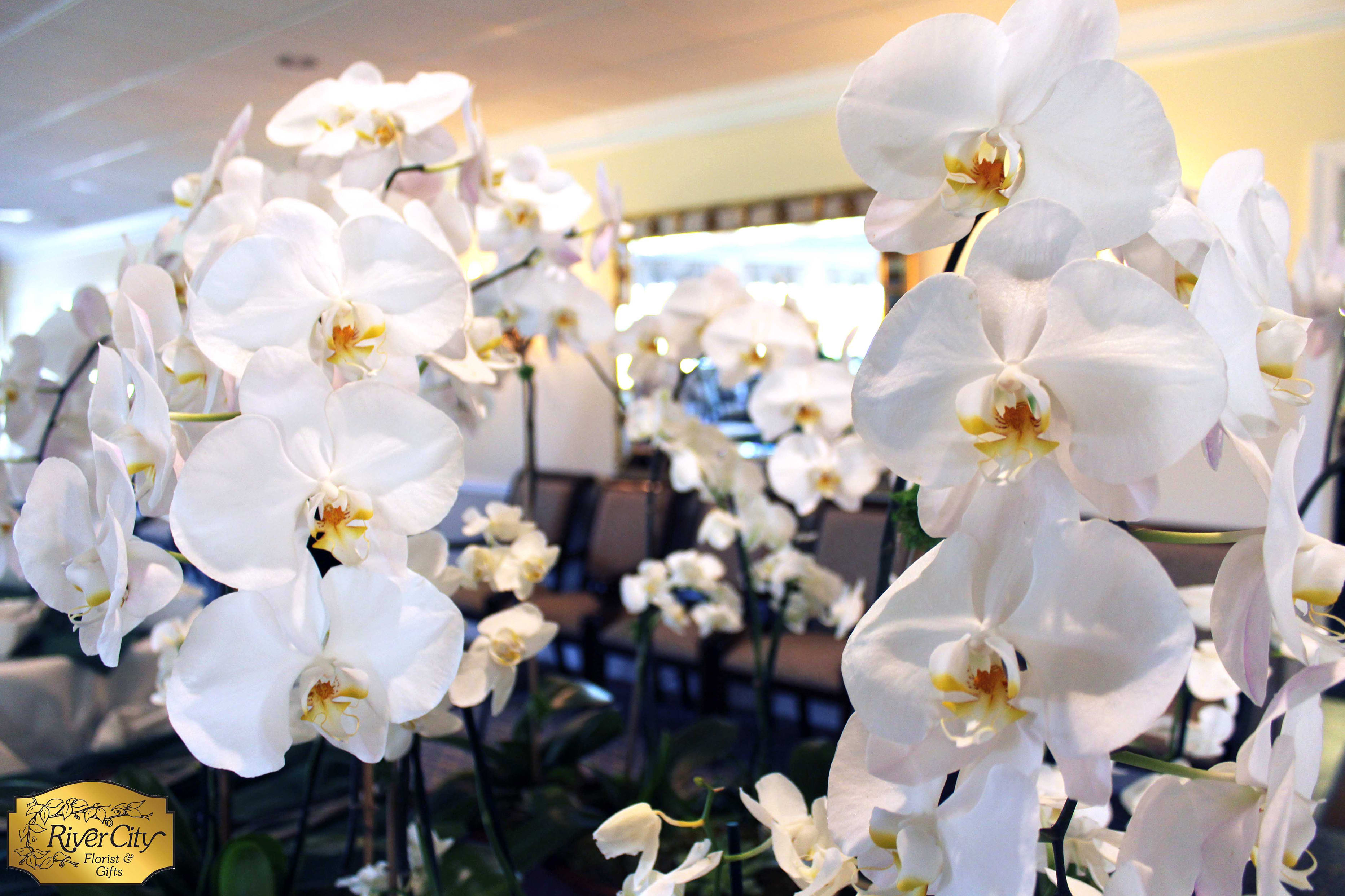 Buschs Florist Jefferson City - s6bp1o4