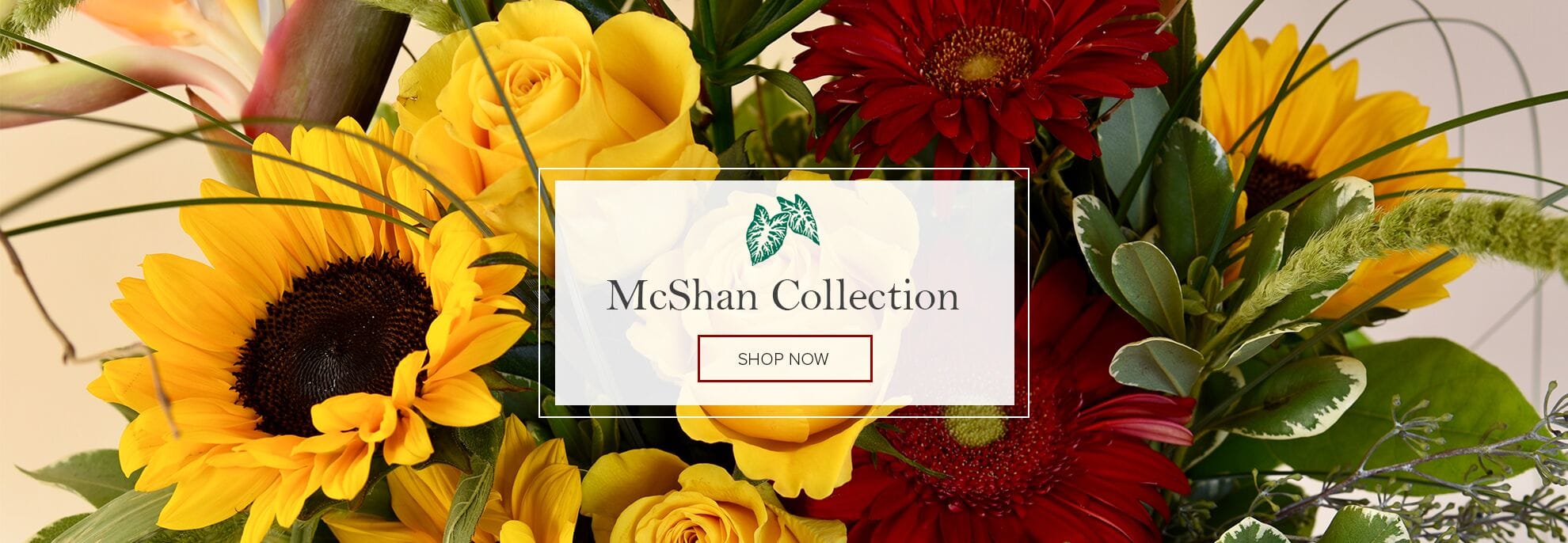 Dallas Florist Flower Delivery by McShan Florist