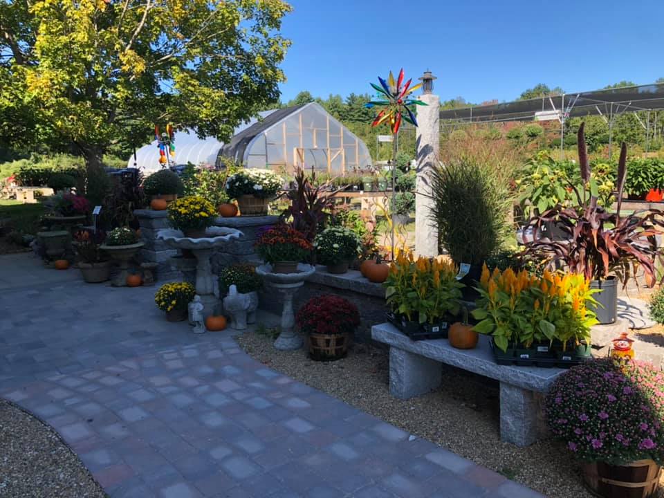 Derry Florist Flower Delivery by Springlook Farm Garden Center Nursery Fl