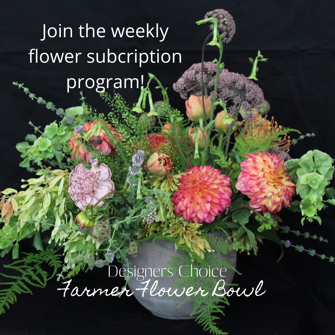 Petaluma Florist Flower Delivery by Flower Casita