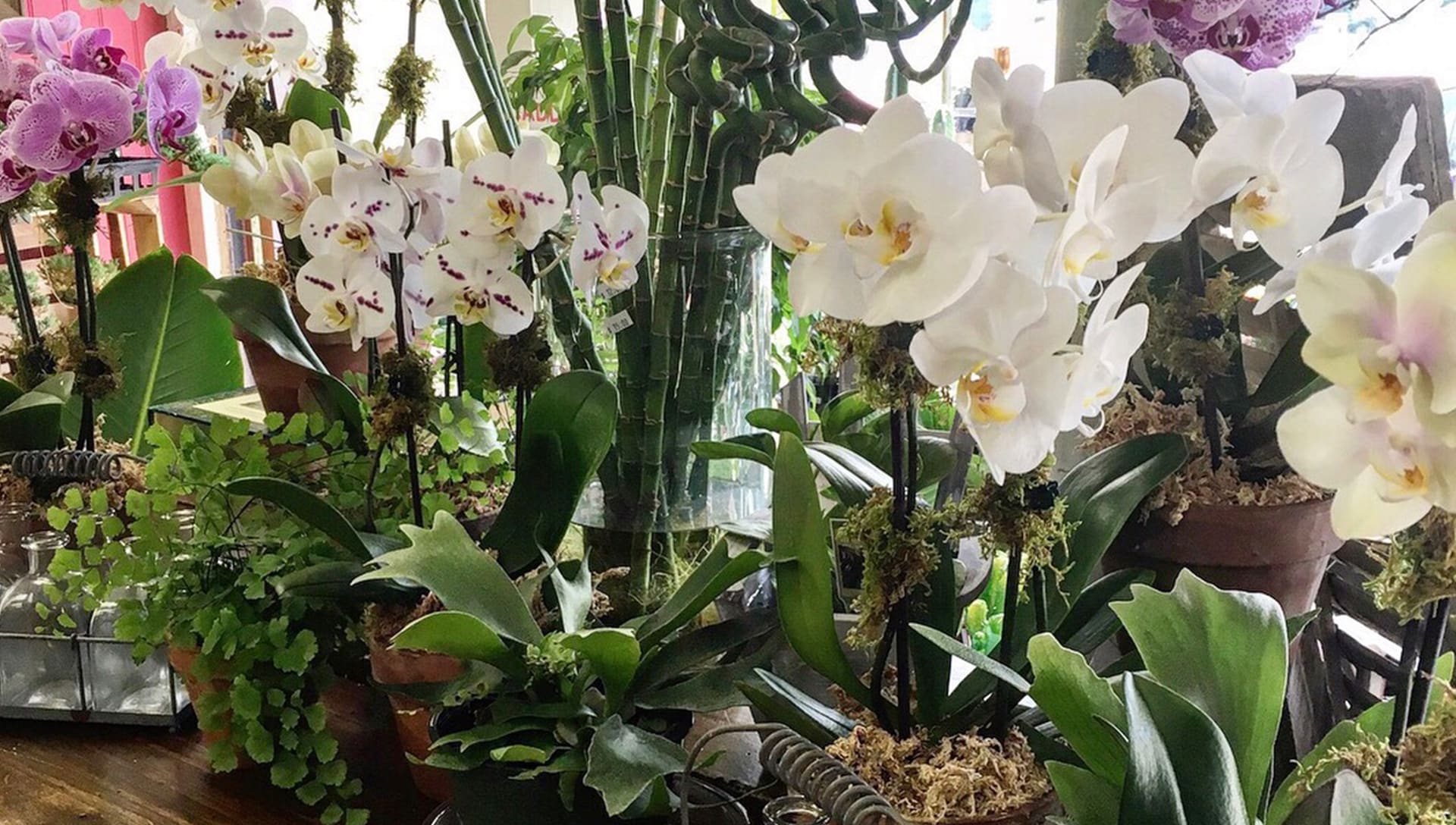 Highlands Florist Flower Delivery by In the Garden