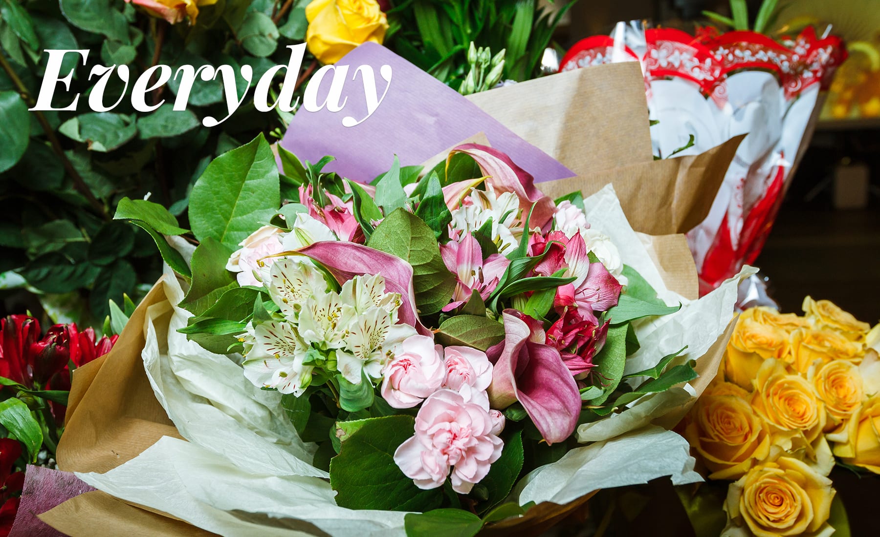 Westland Florist Flower Delivery by My Lady's Florist