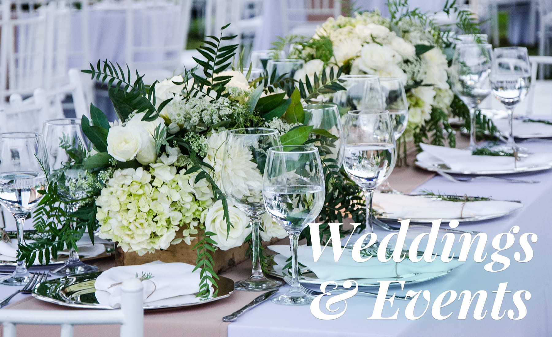 Westland Florist Flower Delivery by My Lady's Florist