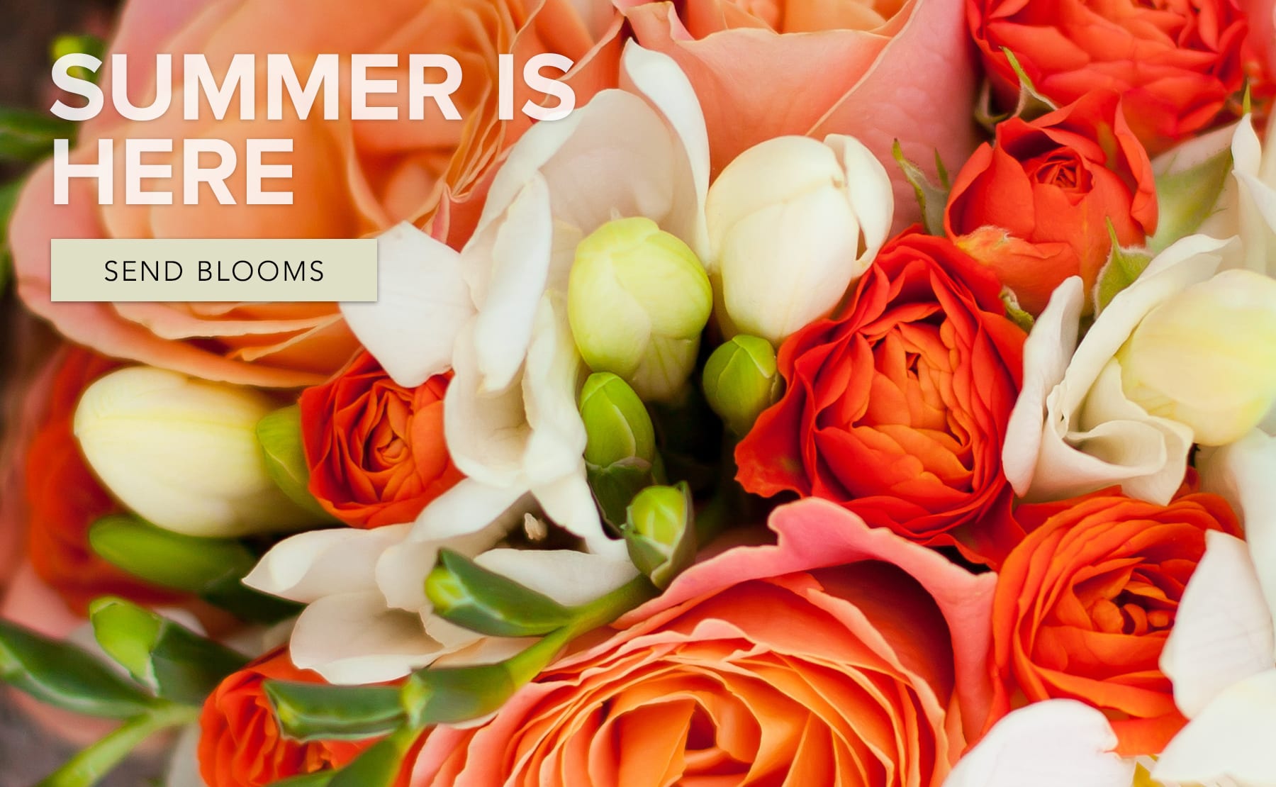 Rockford Florist Flower Delivery by Rockford Flower Shop