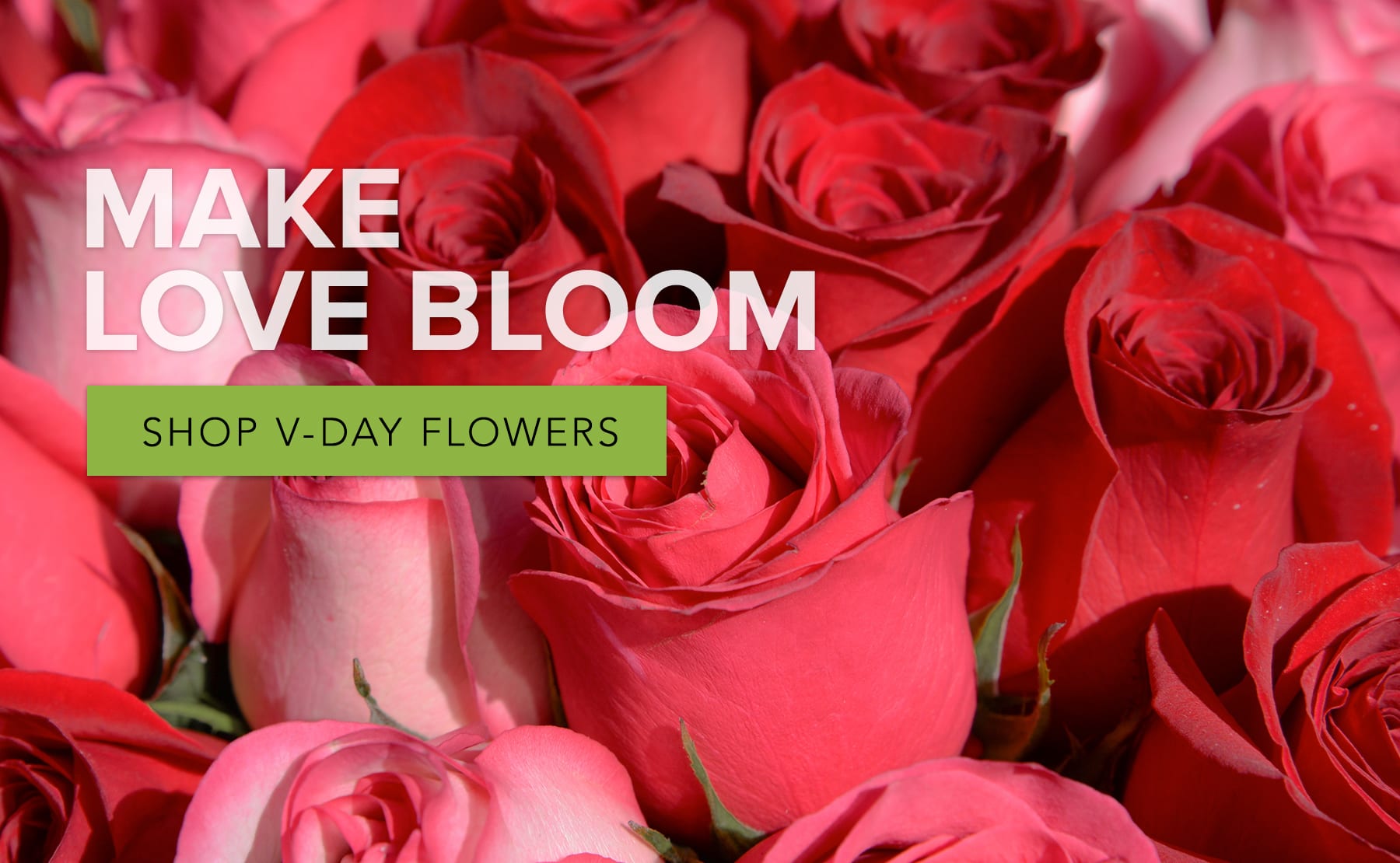 Norfolk Florist Flower Delivery by The Sunflower Florist