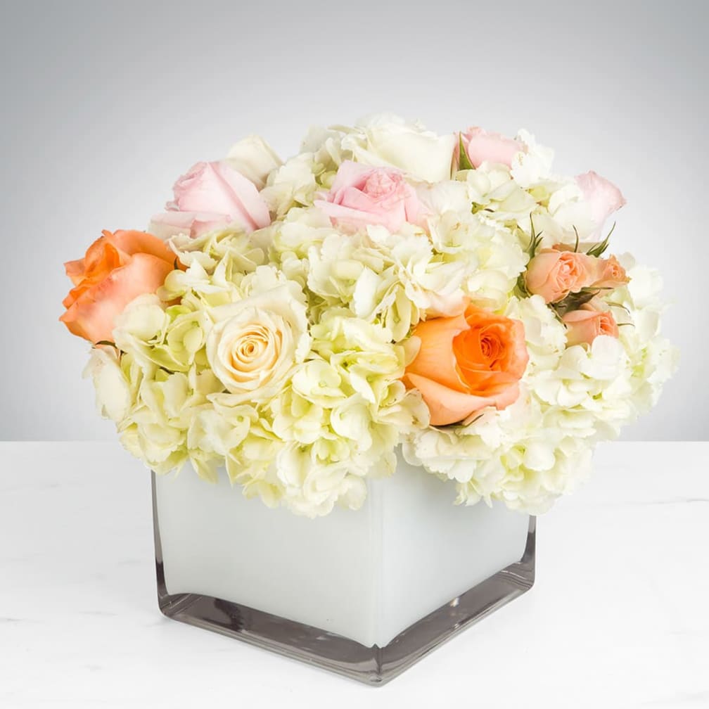 Antioch Florist | Flower Delivery by Diablo View Florist