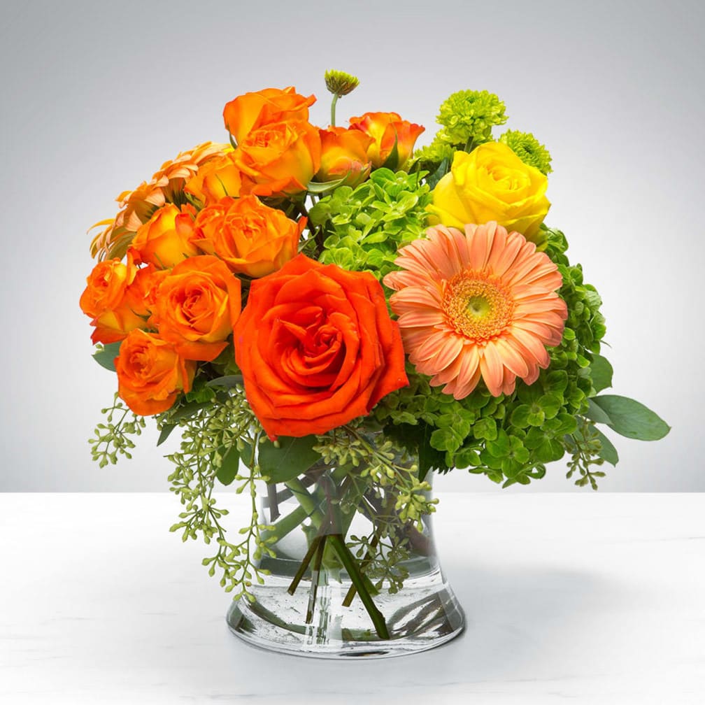 Bloomnation coupon code 2016