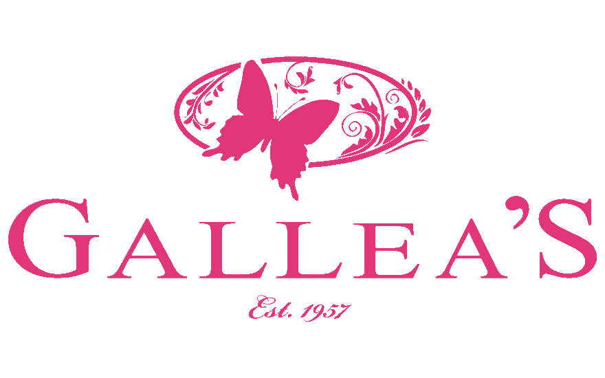 Tillandsia, Airplants. Blog Gallea's Greenhouse & Florist