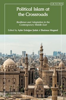 Political Islam at the Crossroads cover