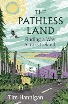 The Pathless Land cover