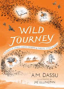 Wild Journey cover