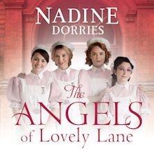 The Angels of Lovely Lane cover