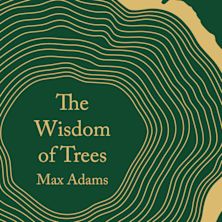 The Wisdom of Trees cover