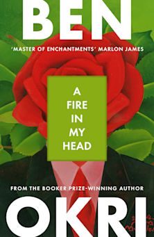 A Fire in My Head cover