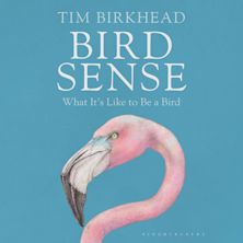 Bird Sense cover